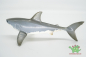 Preview: Schleich Weißer Hai 14700